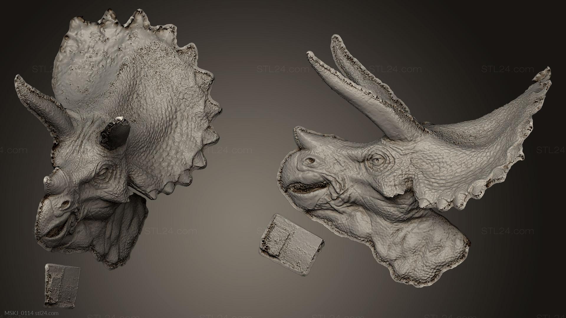 Маски и морды животных (Парк Юрского периода, MSKJ_0114) 3D модель для ЧПУ станка